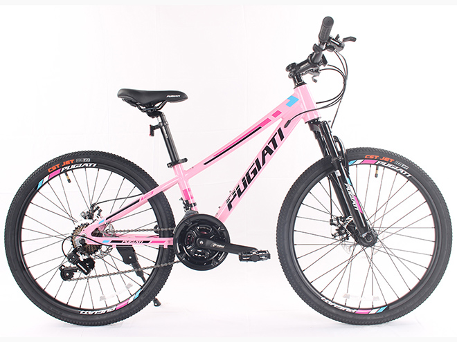 24寸戰騎 24寸戰騎